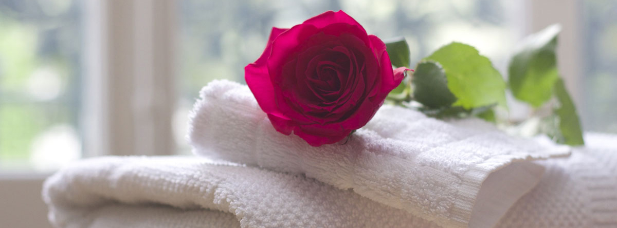 background photo for SpaDreams Day Spa